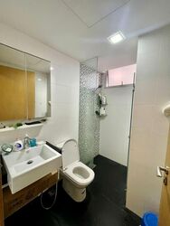 Oasis @ Elias (D18), Condominium #570914741